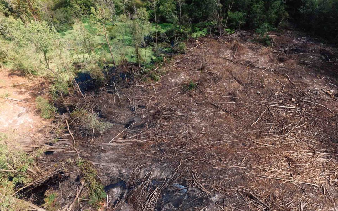 9.4 Conversion from coal to gas and biomass